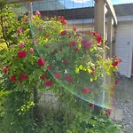 Casa de Férias Villa Rjukan *