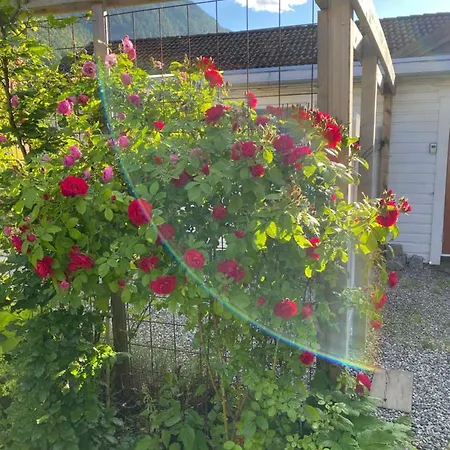 Сasa de vacaciones Villa Rjukan *