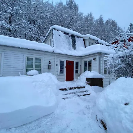 Villa Rjukan Feriehus *