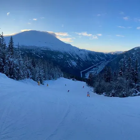 בית נופש Villa Rjukan