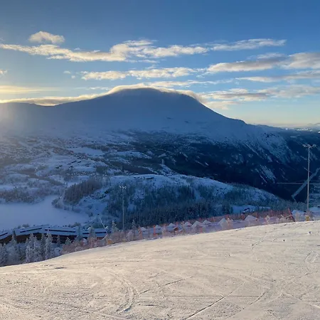 別荘 Villa Rjukan リューカン